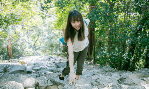 石段を登る様子：写真