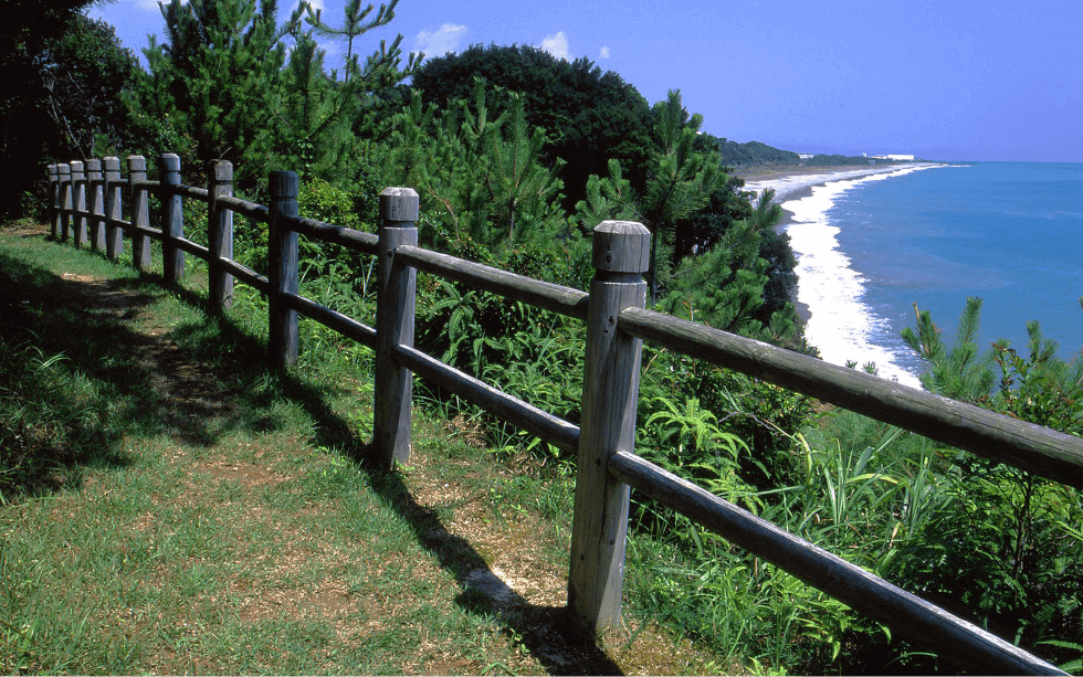 高野坂：写真