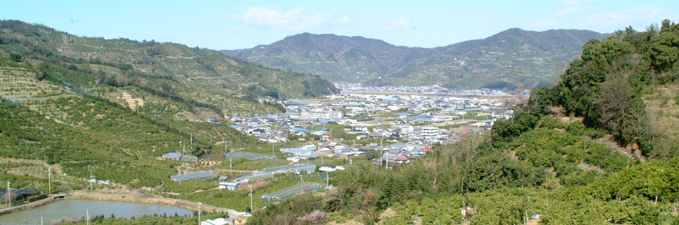 ツヅラト岬からの流れ