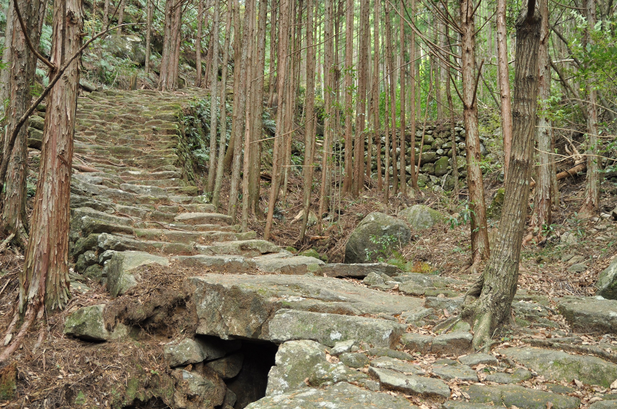 世界遺産登録20周年記念　「新宮につながる熊野古道リレーウォーク」の実施