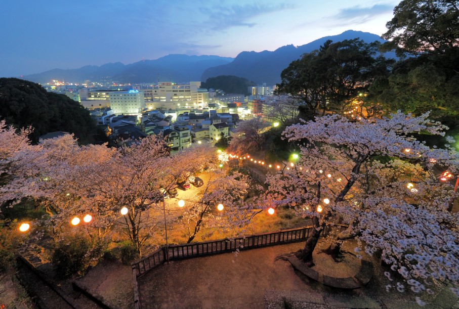 丹鶴城公園（新宮城跡）桜ライトアップについて